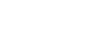 巅峰国际官网佳味LOGO 320x160-2.png
